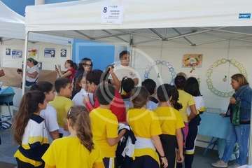 XIV Feria de la Salud de Las Remudas y La Pardilla (Foto TA)